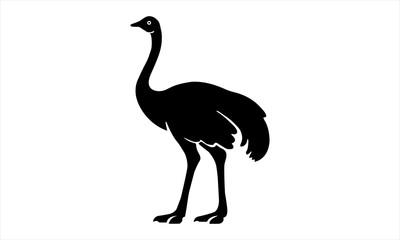 Ostrich icon for wildlife or nature-themed designs