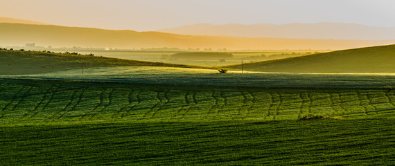 Field in Yambol, Bulgaria, morning sun