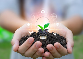 Hand holding light bulb against nature on green leaf with icons energy sources for renewable, sustainable development. Technology ,Environment ,Ecology concept.