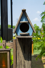 birdhouse in garden