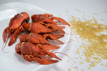 boiled crayfish with spices on a white background