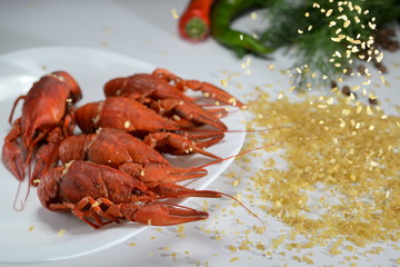 boiled crayfish with spices on a white background