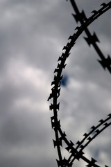 barbed wire