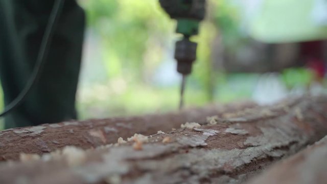 Drilling wood log for growing mushroom plant