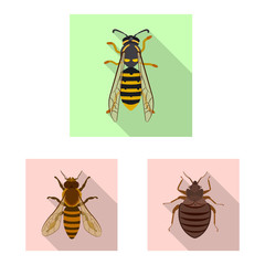 Vector design of insect and fly icon. Collection of insect and element stock vector illustration.