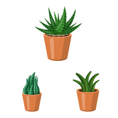 Vector design of cactus and pot symbol. Collection of cactus and cacti stock vector illustration.