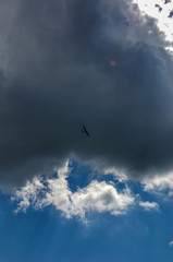 light aircraft against the sky with clouds