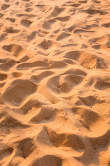  the sandy beach
