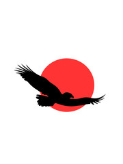 Eagle silhouette on background sun