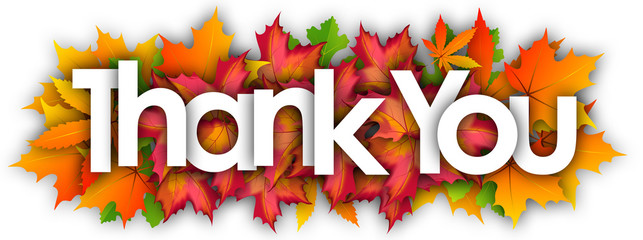 thank you word and autumn leaves background