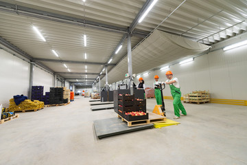 Employees working at organic food production warehouse.
