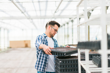 Employee stacking nursery trays at organic vegetable cultivation greenhouse.