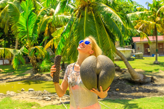 Coco De Mer () Coco De Mer