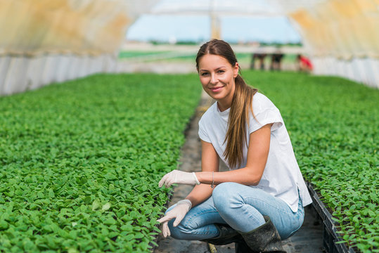 Portrait Of A Beautiful Young Female Farmer At Greenhouse.