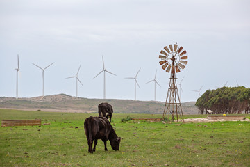 The Old And The New In Harnessing Wind Power