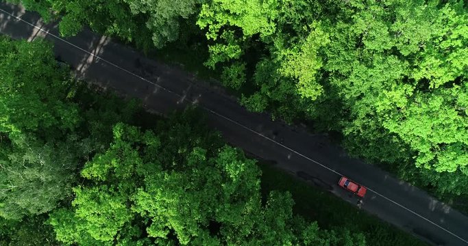 The red car rides along the path between the trees in the woods