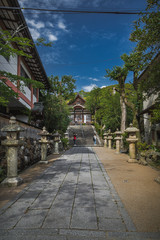 京都　宇治神社　夏の景色