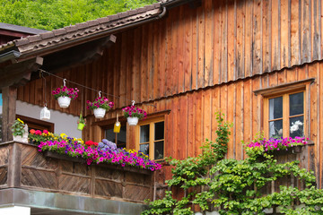 Fototapeta na wymiar A beautiful wooden house with flowers and balcony, architecture of Hallstatt, Salzkammergut - Austria