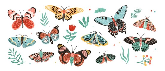 Collection of elegant exotic butterflies and moths isolated on white background. Set of tropical flying insects with colorful wings. Bundle of decorative design elements. Flat vector illustration.