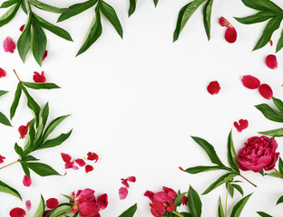red blooming peonies with green leaves