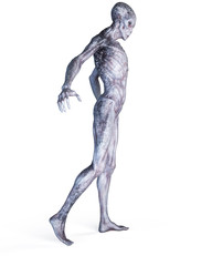 3d rendered illustration of an alien isolated on white