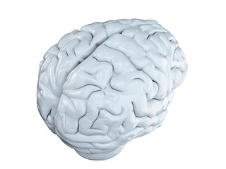3d rendered medically accurate illustration of a white brain isolated on white