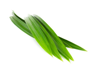 Fresh green pandan leaves isolated on white background