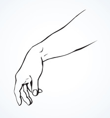 Relaxed hand. Vector drawing