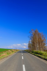 日本　北海道　絶景の道と青空