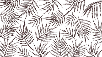 Background with tropical leaves on a white background.