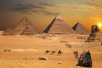 Beautiful sunset view on the Sphinx and the Pyramids of Giza, desert scenery with camels