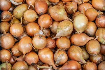 Yellow onion background. Organic biological vegetables in the farmers market.