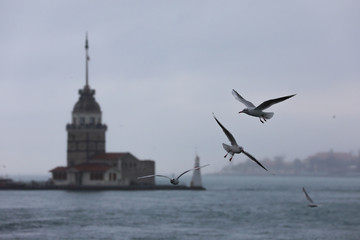 maiden's tower