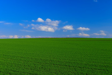 Fototapeta premium 日本 北海道 草原と丘