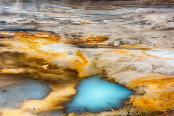 Geysers at Norris Basin