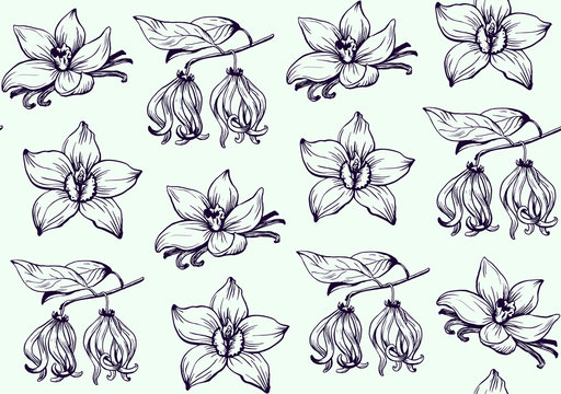 Ink flowers pattern hand drawn vector