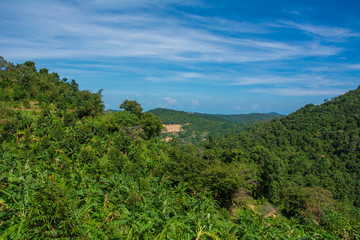 Exotic tropical mountain forest from the Koh Samui Island in the Thailand with palms and trees