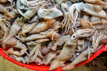 Fish Food in a Fish Market Stand