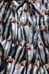 Fish Food in a Fish Market Stand