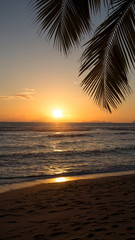 Sunset on the beach with palm tree