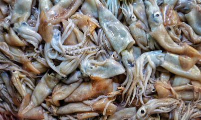 Fish Food in a Fish Market Stand