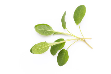Herbal spice on a white background. Top view.