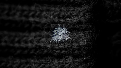 Beautiful snowflake, a single ice crystal in winter, falls through the Earth's atmosphere as snow