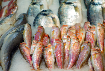 Fish Food in a Fish Market Stand