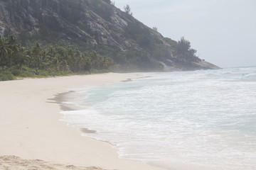 private island beach seychelles palm coconut sand sun