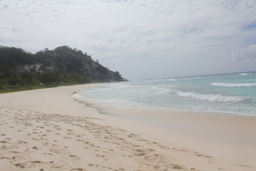 private island beach seychelles palm coconut sand sun