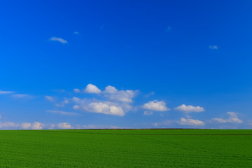 Fototapeta premium 日本 北海道 絶景の青空と草原
