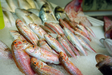 Fish Food in a Fish Market Stand