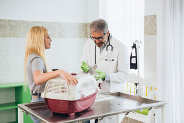 Fototapeta premium woman brings her pet at veterinary clinic