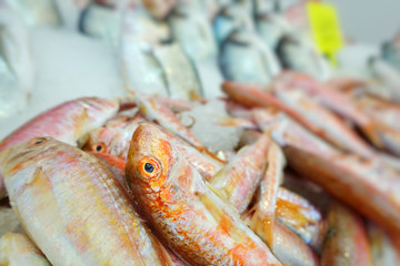 Fish Food in a Fish Market Stand